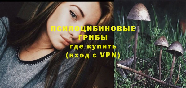 молекула духа Карпинск