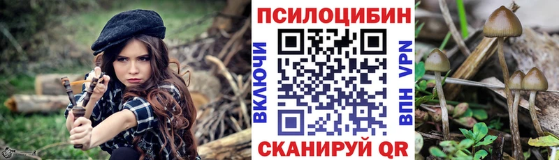 Купить закладки Богданович Псилоцибиновые грибы GOLDEN TEACHER